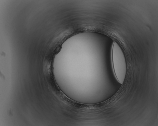 X0000091090123200708061007