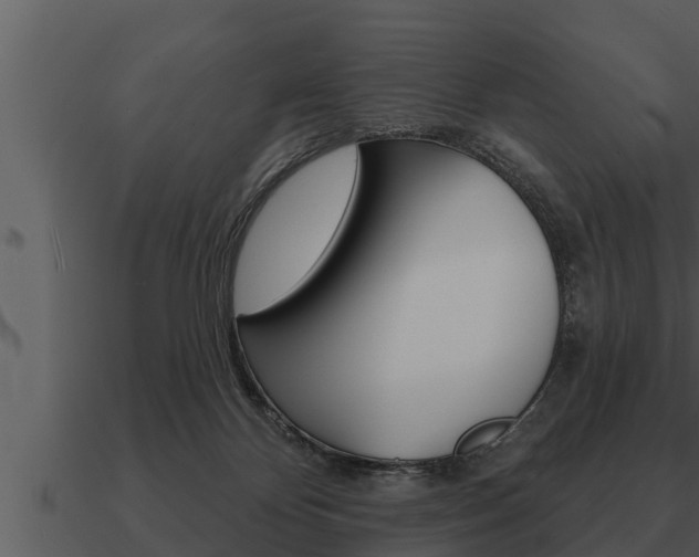 X0000091090124200708061007