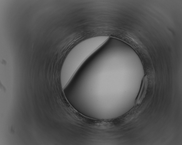 X0000091090125200708061007