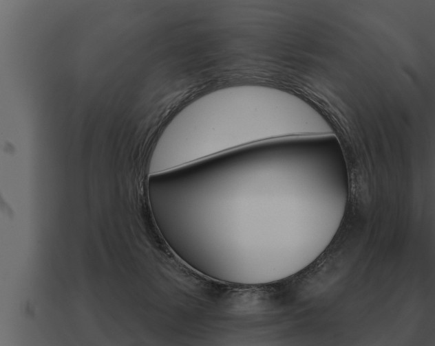 X0000091090127200708061007