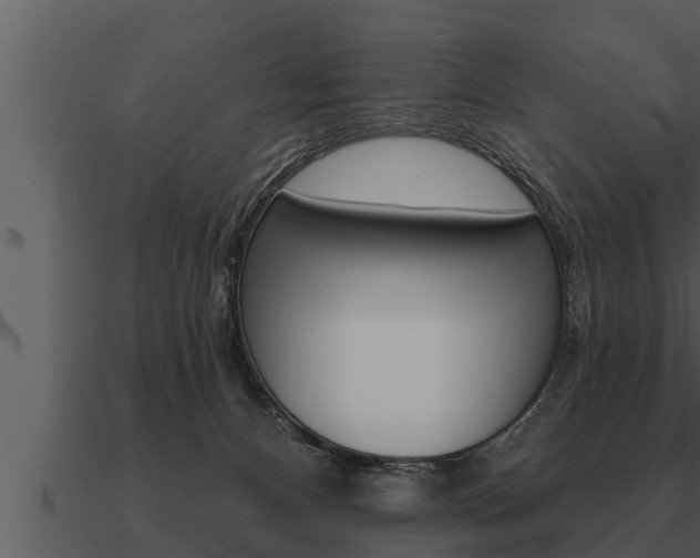 X0000091090128200708061007