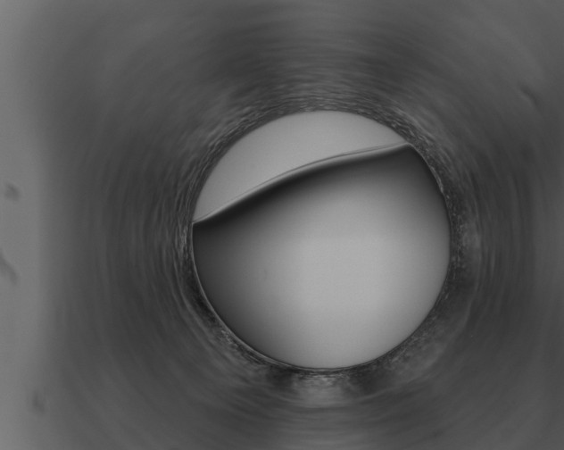 X0000091090129200708061007