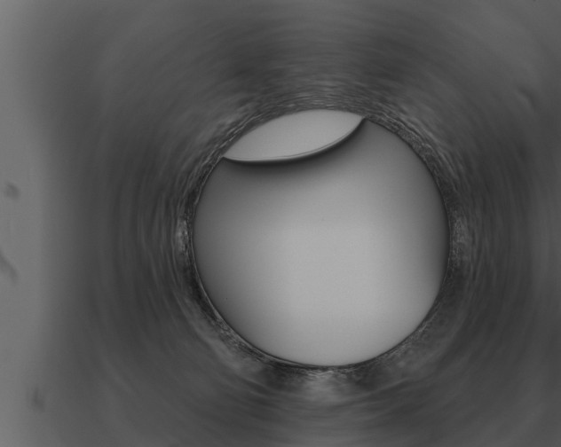 X0000091090130200708061007