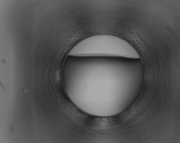 X0000091090131200708061007
