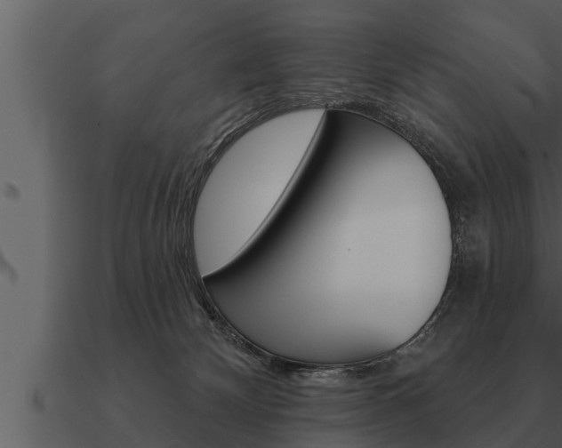 X0000091090132200708061007