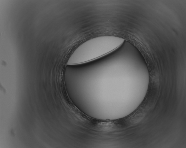 X0000091090133200708061007