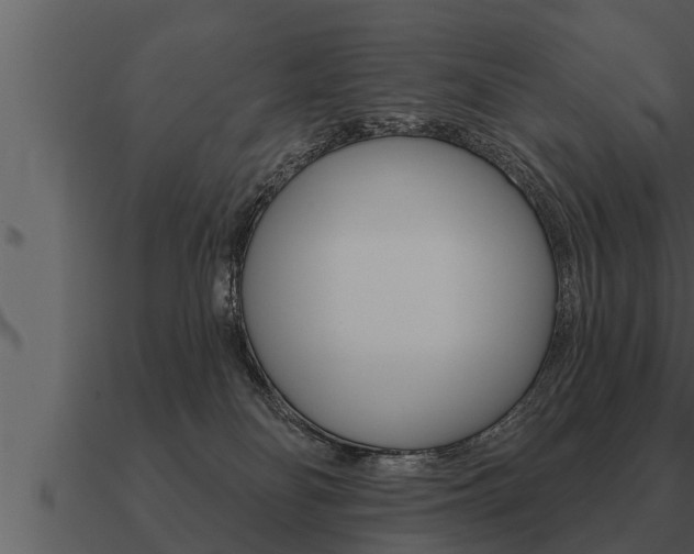 X0000091090134200708061007