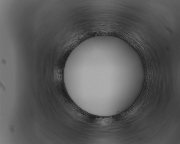 X0000091090135200708061007