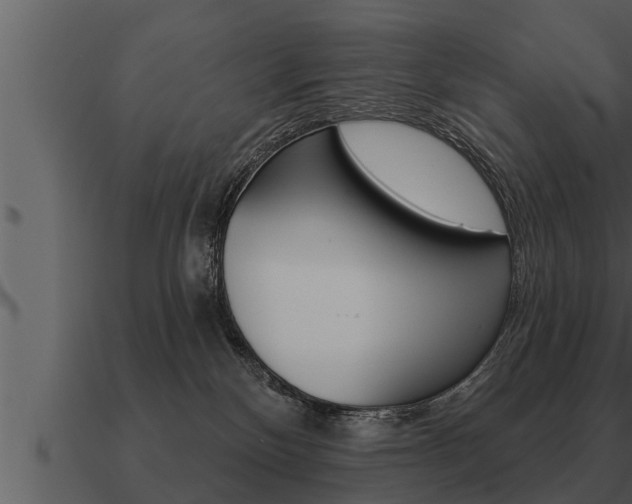 X0000091090136200708061007