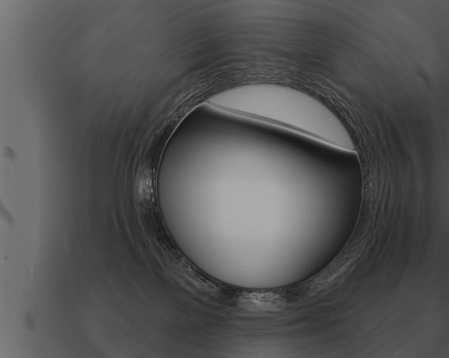 X0000091090137200708061007