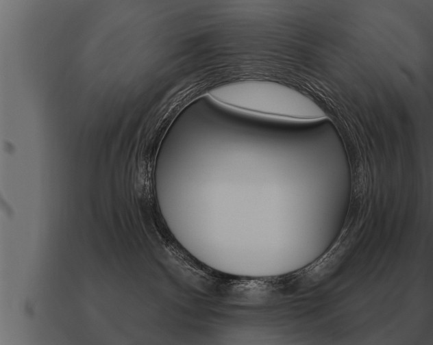 X0000091090140200708061007