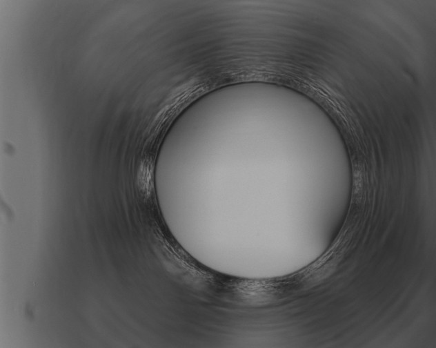 X0000091090142200708061007