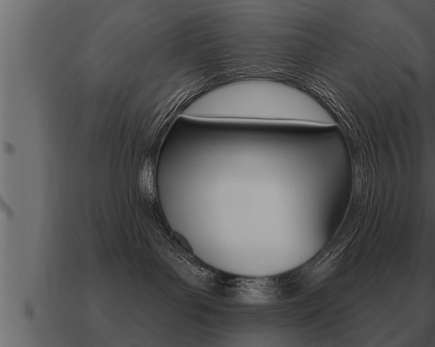 X0000091090143200708061007