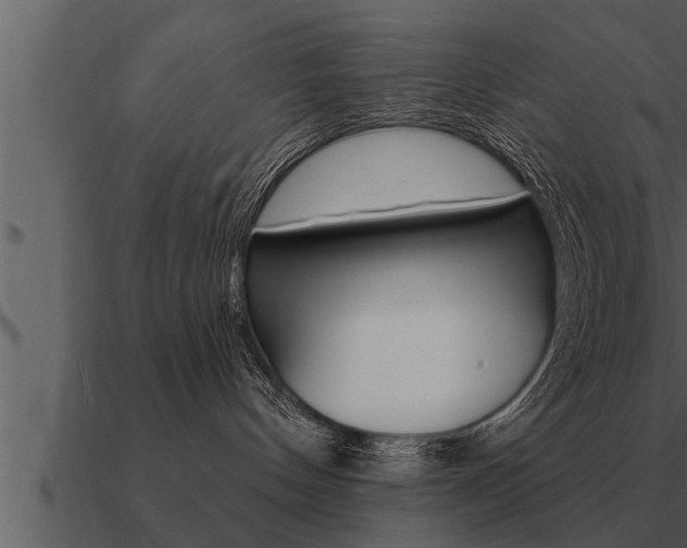 X0000091090144200708061007