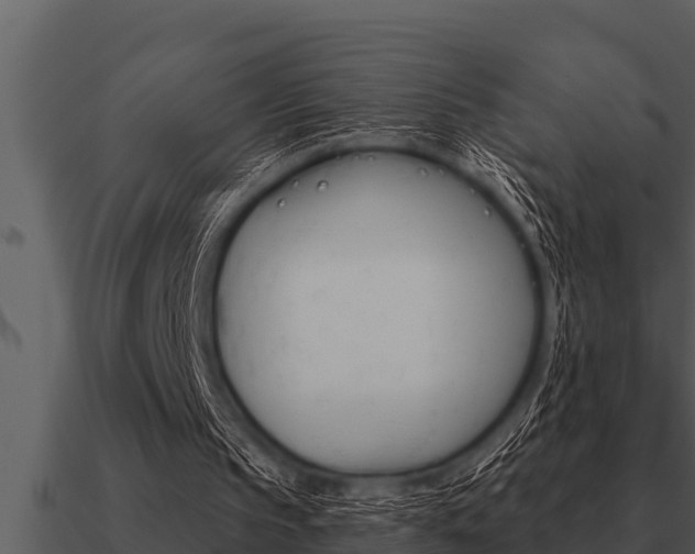 X0000091090145200708061006