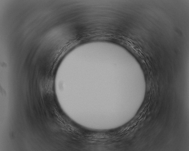 X0000091090146200708061006