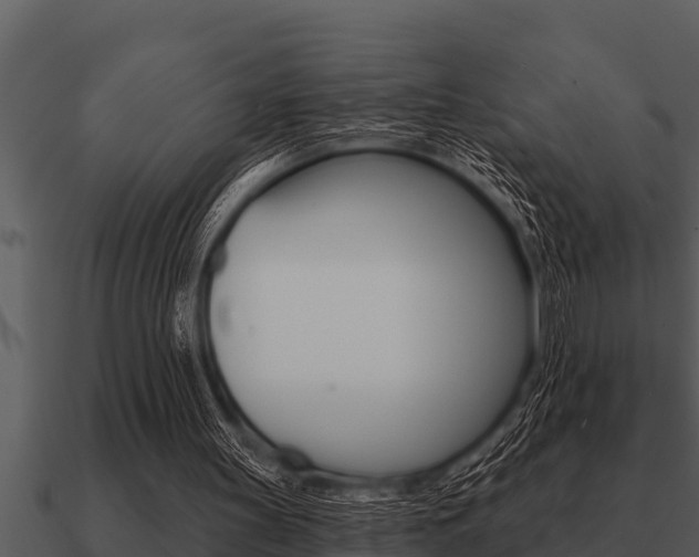X0000091090147200708061006