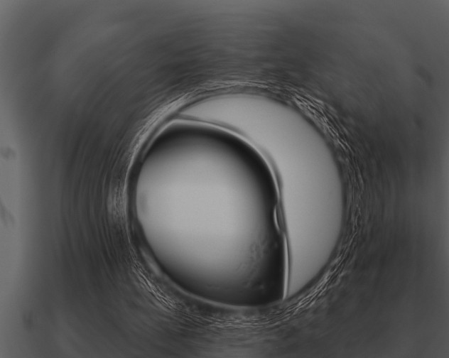 X0000091090148200708061006