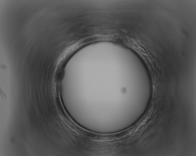 X0000091090149200708061006