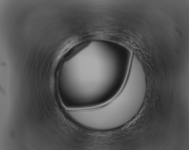X0000091090150200708061006