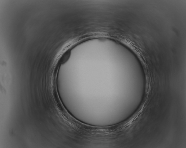 X0000091090151200708061006