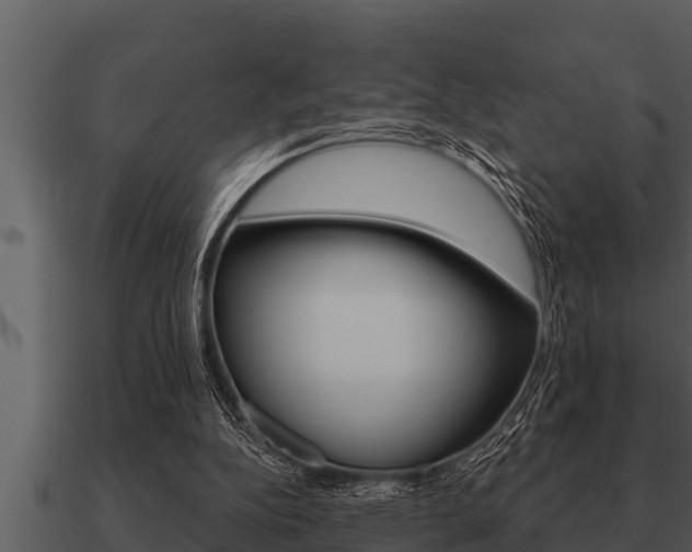 X0000091090152200708061006