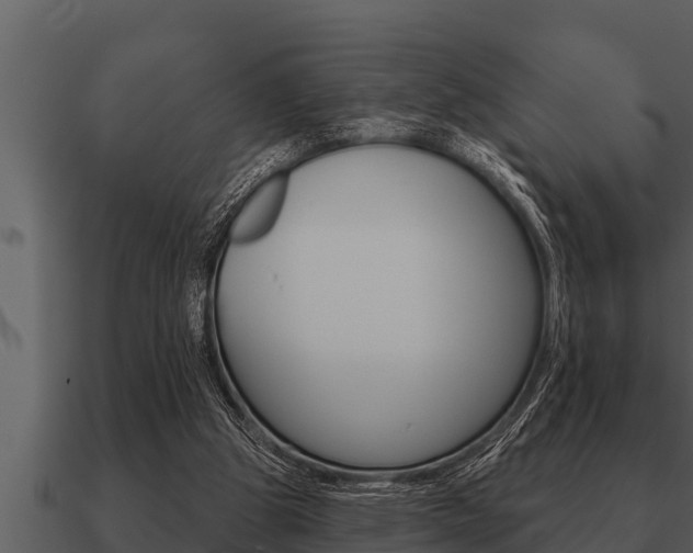X0000091090153200708061006