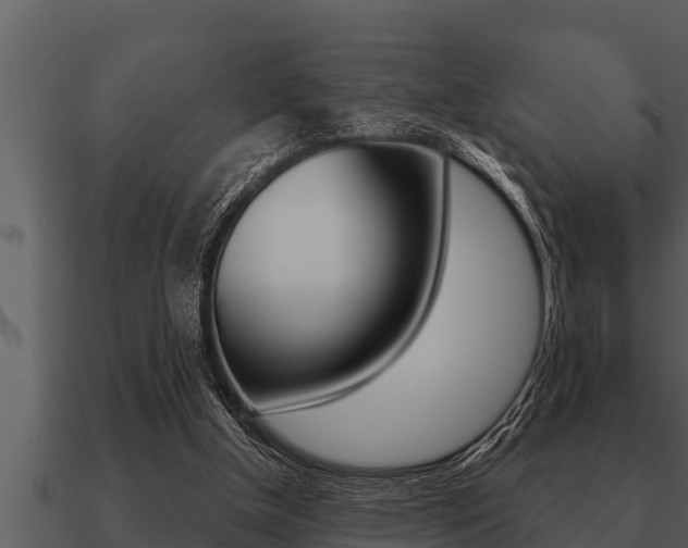X0000091090154200708061006