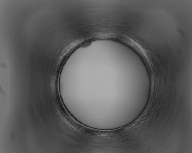 X0000091090155200708061006