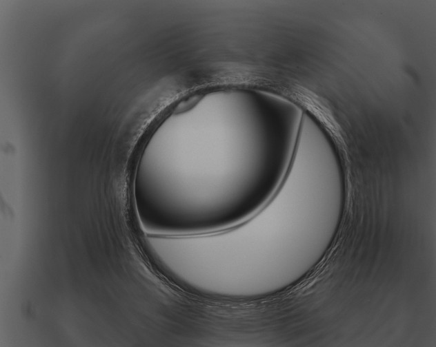 X0000091090156200708061006