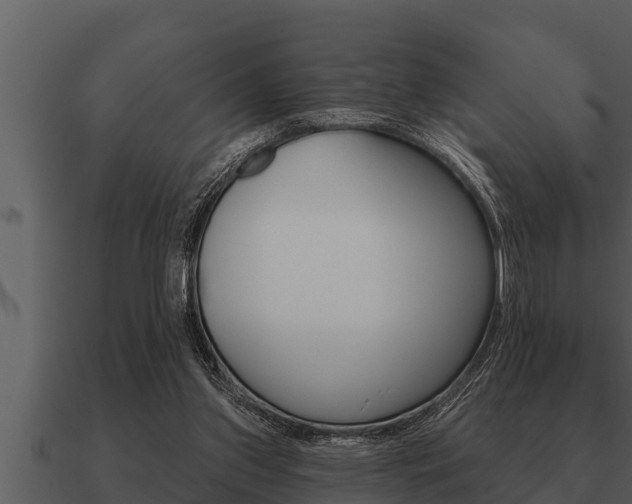 X0000091090157200708061006