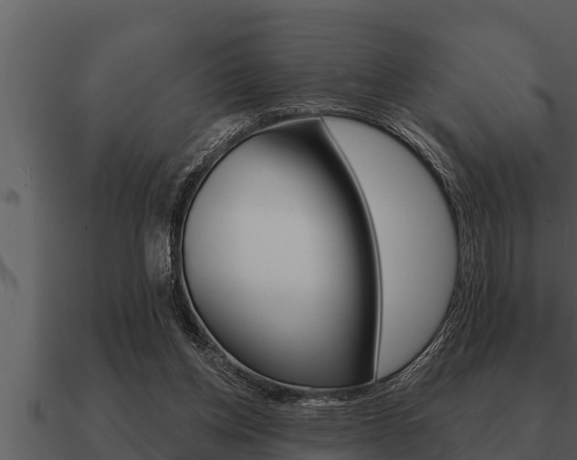 X0000091090158200708061006