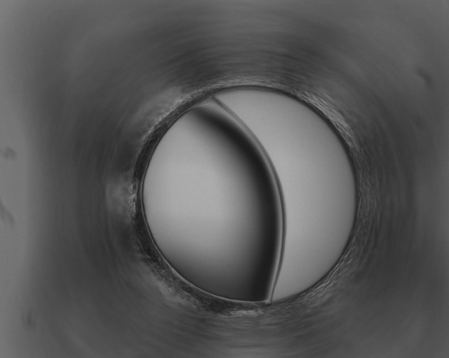 X0000091090160200708061006