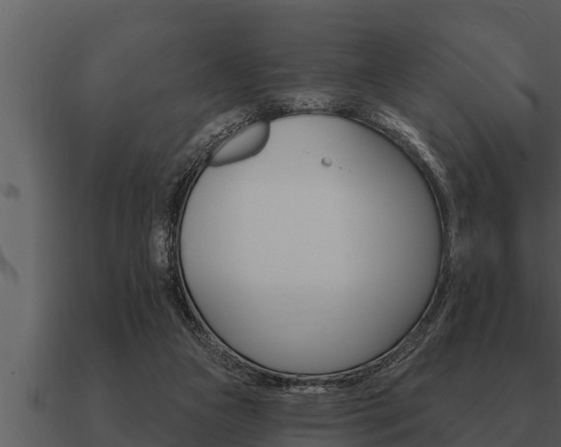 X0000091090161200708061006