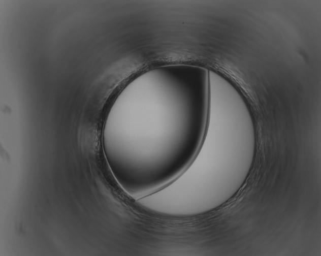 X0000091090164200708061007