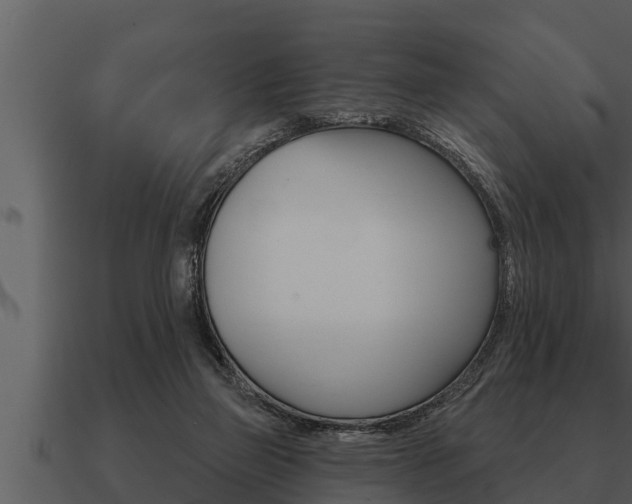 X0000091090165200708061007