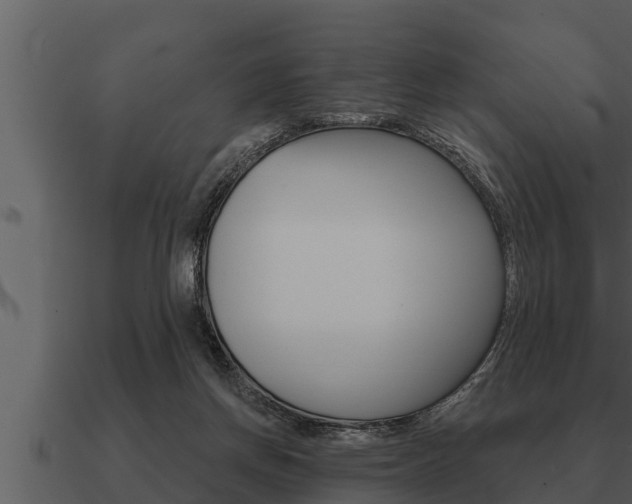 X0000091090166200708061007