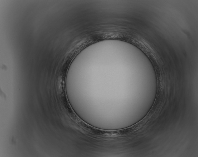 X0000091090169200708061007