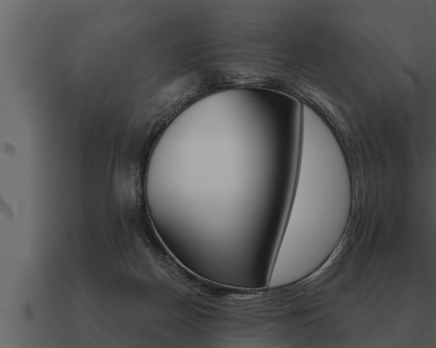 X0000091090170200708061007