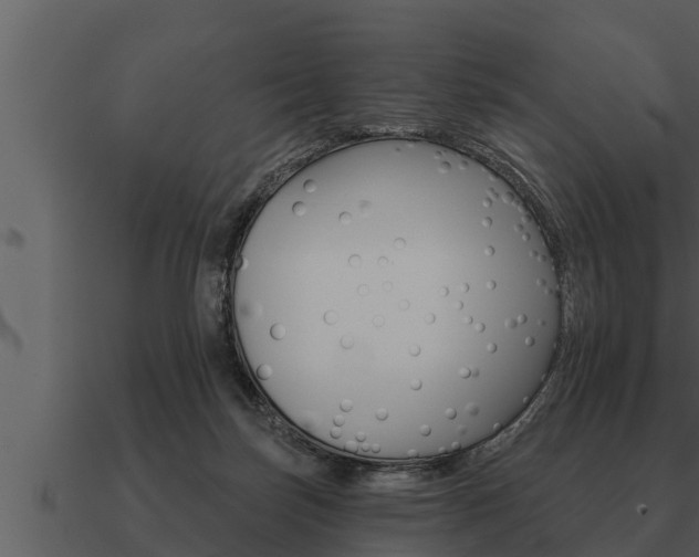 X0000091090171200708061007