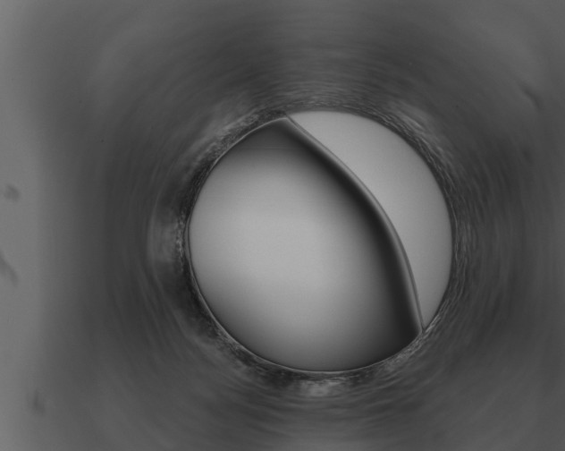 X0000091090172200708061007