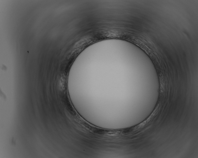 X0000091090175200708061007