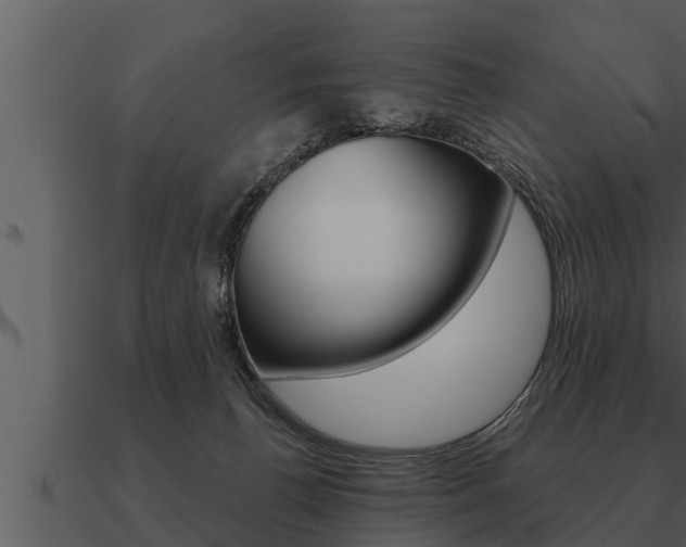 X0000091090176200708061007