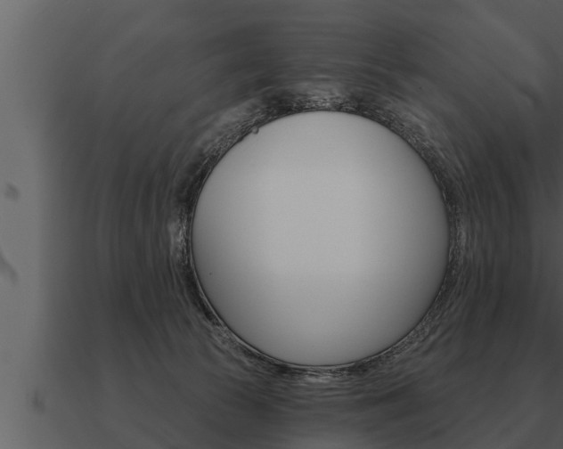 X0000091090177200708061007