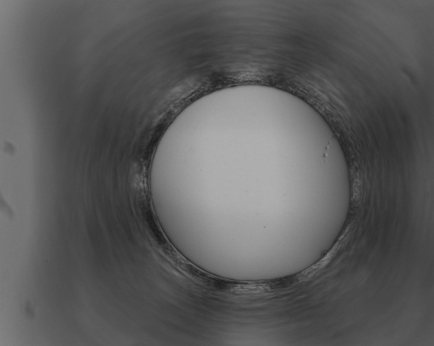 X0000091090179200708061007