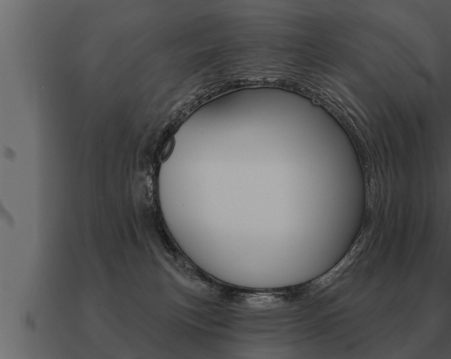 X0000091090183200708061007