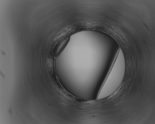X0000091090184200708061007