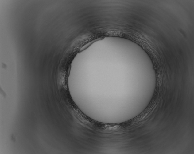 X0000091090185200708061007