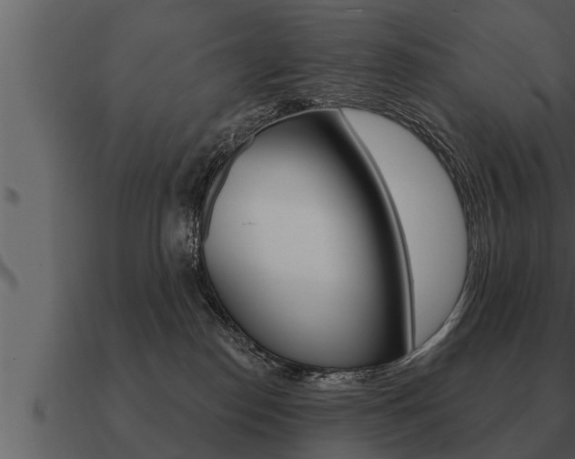 X0000091090186200708061007