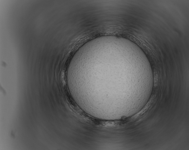 X0000091090187200708061007